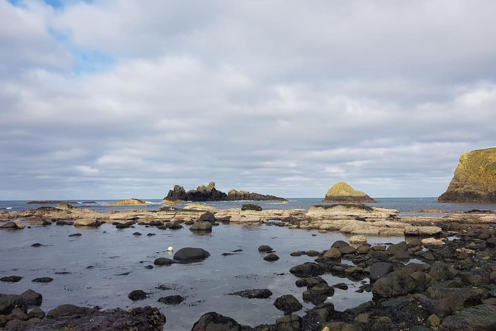 Mcconaghys Glenside Farmhouse Whitepark Bay Ballintoy Ngoại thất bức ảnh